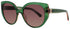 Kate Spade Seraphina/G/S Sunglasses by ModaFrames