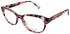 Kate Spade Zelda Eyeglasses by ModaFrames