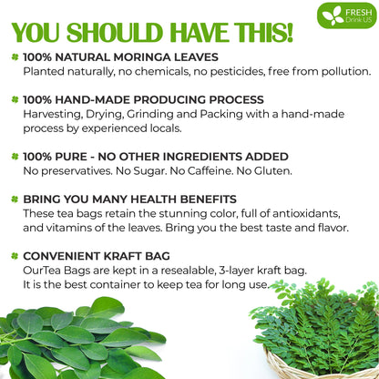 Moringa Leaf Tea Bags, 100% Natural &amp; Pure from Moringa Leaves. Loose Leaf Moringa Herbal Tea. Moringa Leaf Tea. No Sugar, No Caffeine, No Gluten, Vegan by FreshDrinkUS - Natural and Premium Herbal Tea