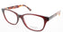 Signature Pn117 Eyeglasses by ModaFrames