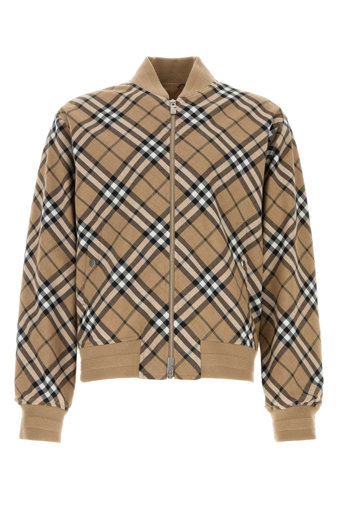 Burberry Men Embroidered Polyester Blend Bomber Jacket by Luosophy