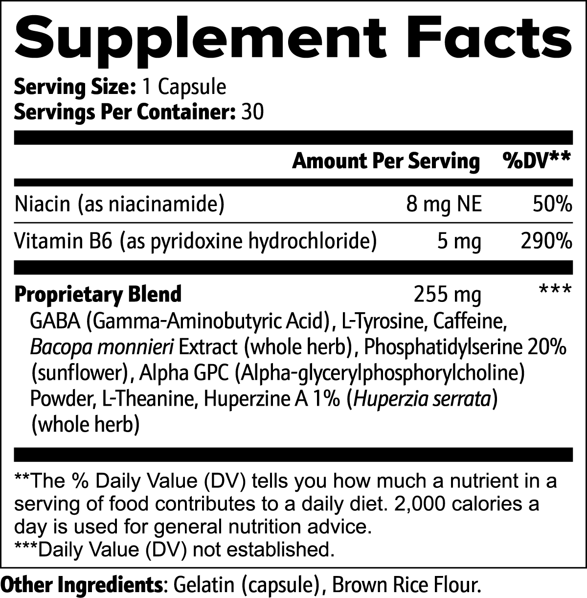 Mind Forge | Premium Nootropic Stack for Focus &amp; Mental Clarity by Protein Zone