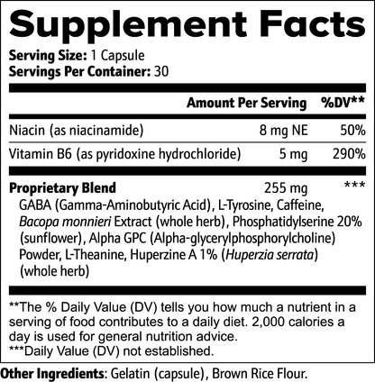 Mind Forge | Premium Nootropic Stack for Focus &amp; Mental Clarity by Protein Zone