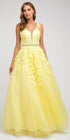 Juliet 224 V-Neck and Back Embroidered Tulle A-Line Ball Gown by DiscountDressShop