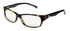 Smith Optics Heartbreak Eyeglasses by ModaFrames