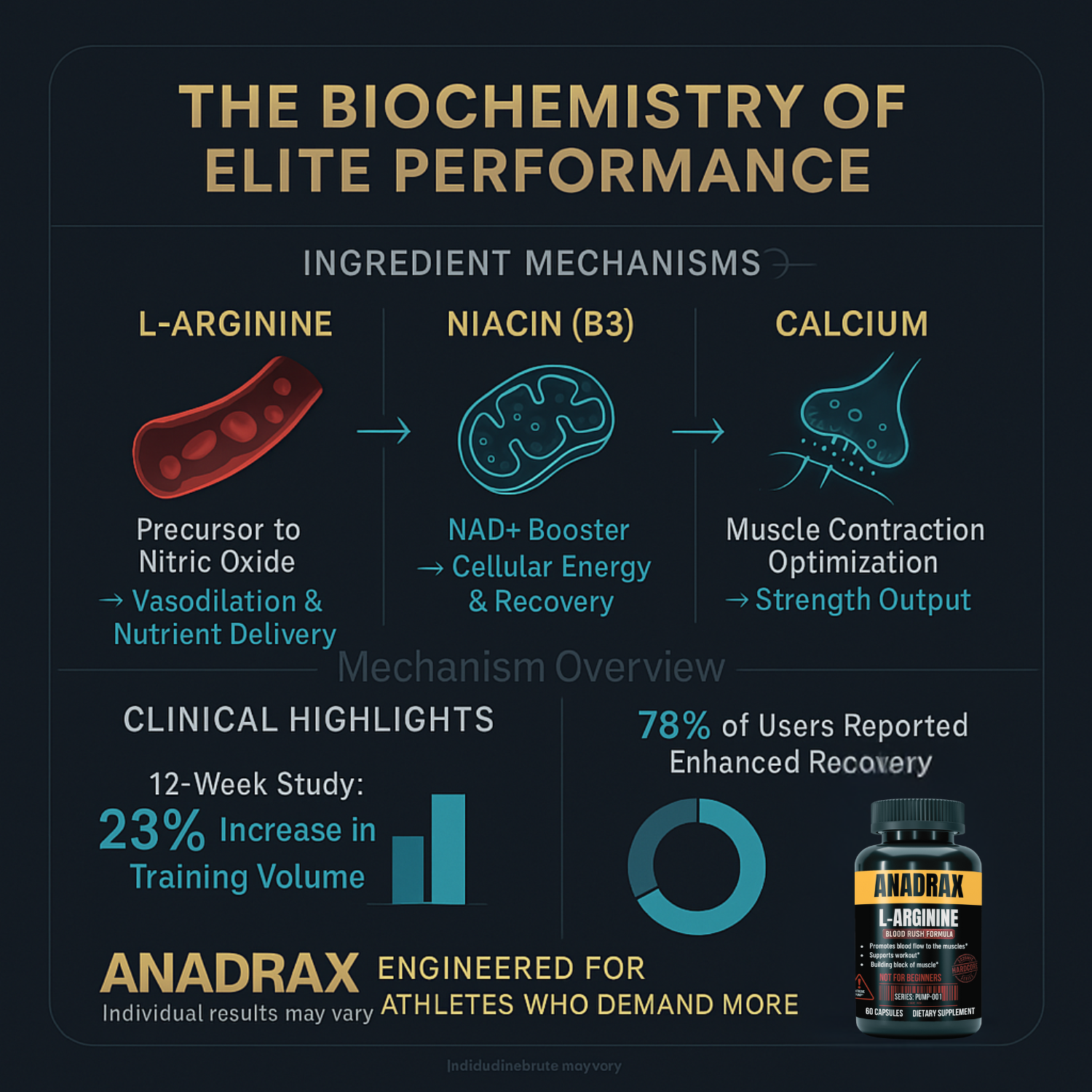ANADRAX: Circulation Complex | 60 Capsules - L-Arginine, Niacin &amp; Nitric Oxide Support for Active Lifestyles by 2020WFG