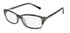 Trussardi 12504 Eyeglasses by ModaFrames