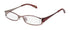 Continental Eyewear X-Eyes 087 Eyeglasses by ModaFrames