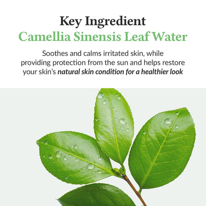 Dr. Althea Green Tea Fresh Sunscreen SPF50+ PA++++ by AsiaBeautyMall