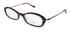 Oliver Peoples Didi Eyeglasses by ModaFrames
