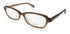 Oliver Peoples Wynter Eyeglasses by ModaFrames