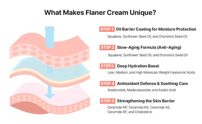 [ Flaner ] Tomato Face Moisturizer Cream 50ml by Pi-Boo