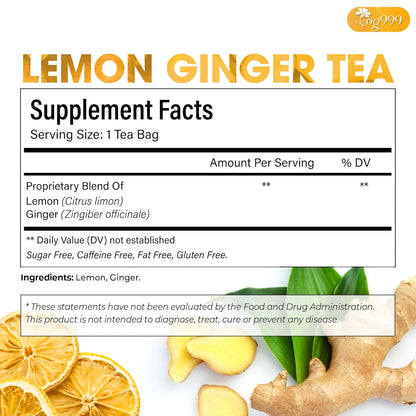 Premium Lemon, Ginger Herbal Blend Tea Bag | Improve Digestion, Support Brain, Weight, Skin and Sleep, Eco-Conscious Tea Bags by FreshDrinkUS - Natural and Premium Herbal Tea