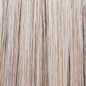 Raquel Welch Classic Cut Wig