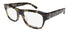 Bobbi Brown The Addison Eyeglasses by ModaFrames