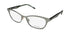 Vera Wang V352 Eyeglasses by ModaFrames