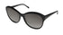 Vera Wang Luxe Pepita Sunglasses by ModaFrames