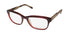 Vera Wang Luxe Manon Eyeglasses by ModaFrames
