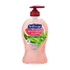Softsoap Watermelon & Mint Hydrating Hand Soap (11.25oz) by Farmacias Savia