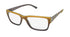 Diesel Dl 5027 Eyeglasses by ModaFrames