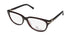 Renato Balestra Rb018 Eyeglasses by ModaFrames