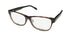 Vera Wang Va24 Eyeglasses by ModaFrames