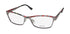 kensie Feminine Eyeglasses by ModaFrames