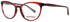 Nomad-Morel 40037n Eyeglasses by ModaFrames