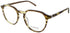 Nomad-Morel 40123n Eyeglasses by ModaFrames