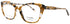 Koali-Morel 20123k Eyeglasses by ModaFrames