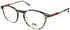 Nomad-Morel 40195n Eyeglasses by ModaFrames