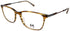 Nomad-Morel 40197n Eyeglasses by ModaFrames