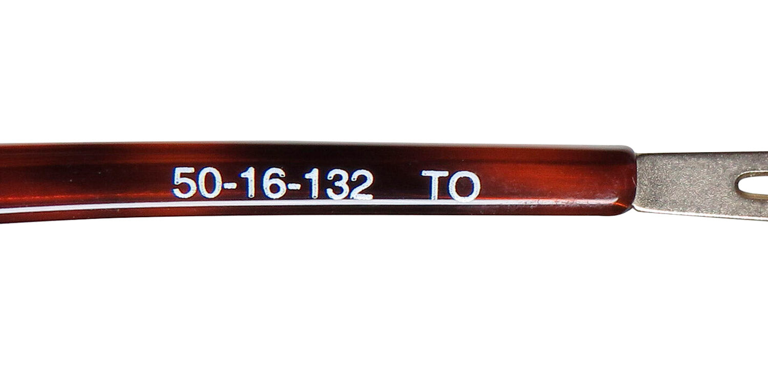 Timex T190 Eyeglasses by ModaFrames