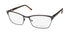 Dana Buchman Marlee Eyeglasses by ModaFrames