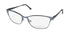 Dana Buchman Whytney Eyeglasses by ModaFrames