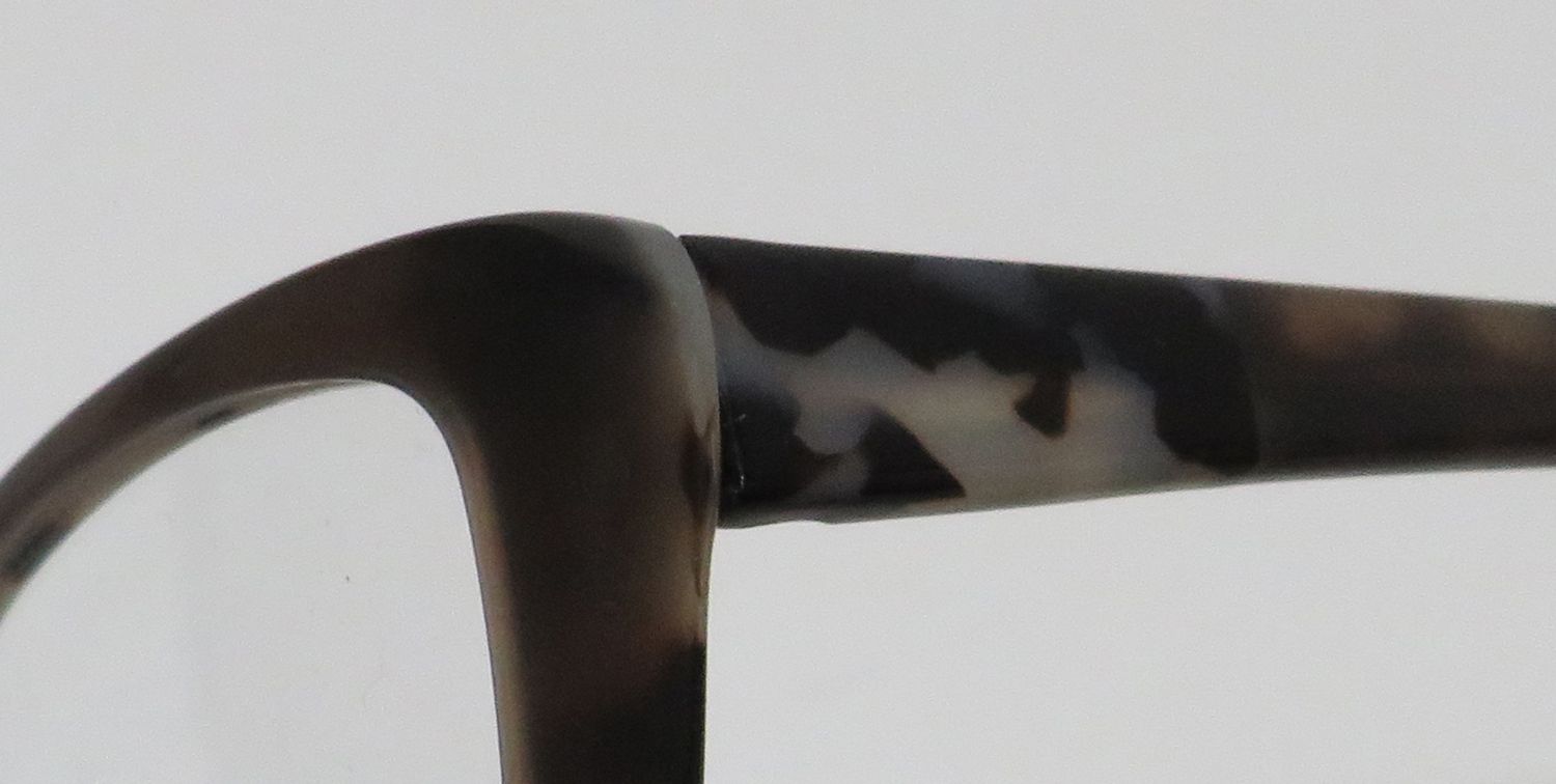 Vera Wang V384 Eyeglasses by ModaFrames