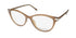 Calvin Klein Ck19531 Eyeglasses by ModaFrames