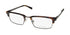 Nautica N9103 Eyeglasses by ModaFrames