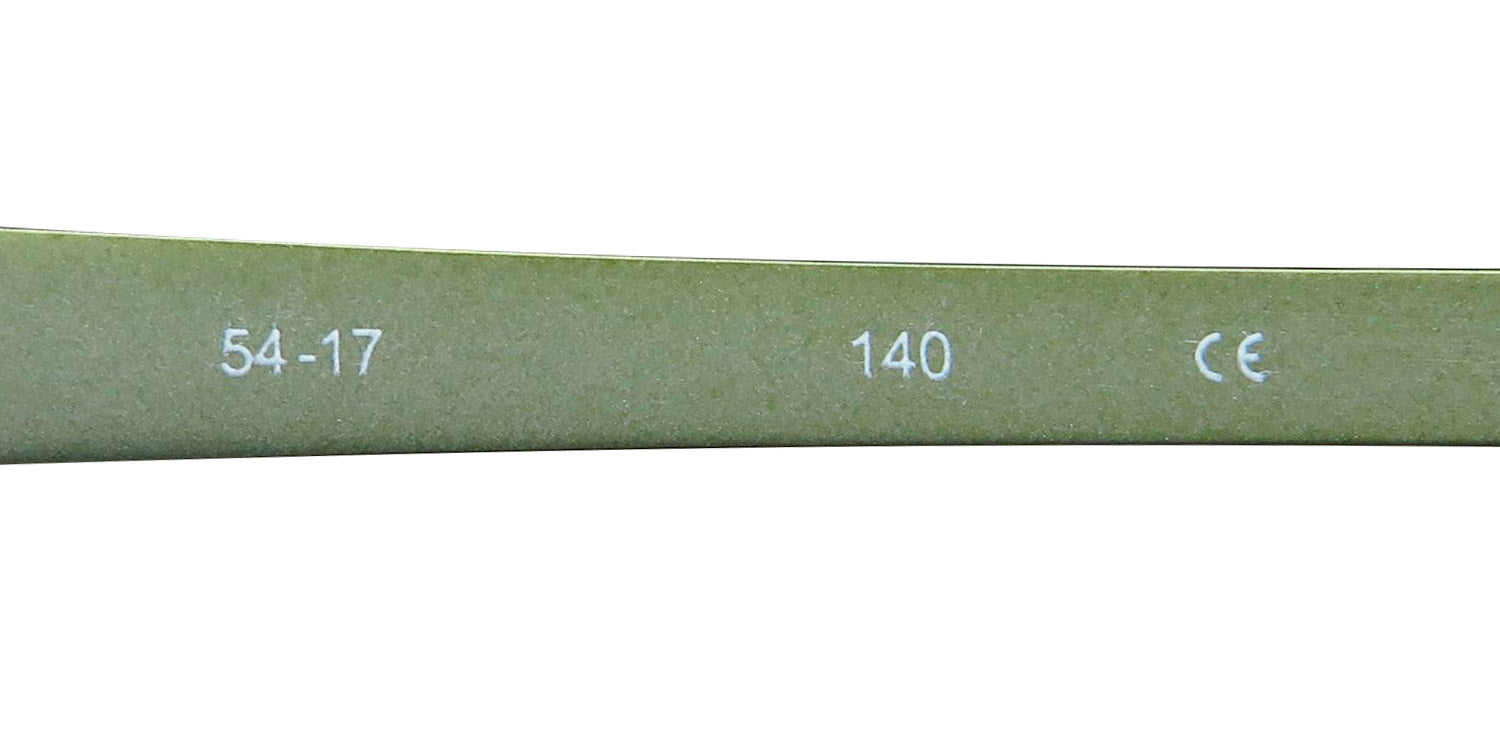TiFlex 1705 Eyeglasses by ModaFrames