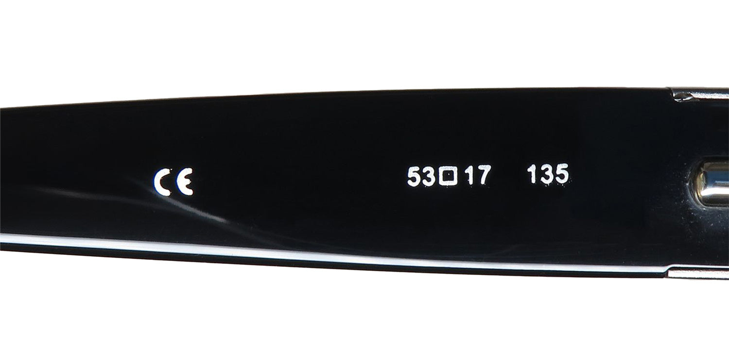 Luxe 349 Eyeglasses by ModaFrames