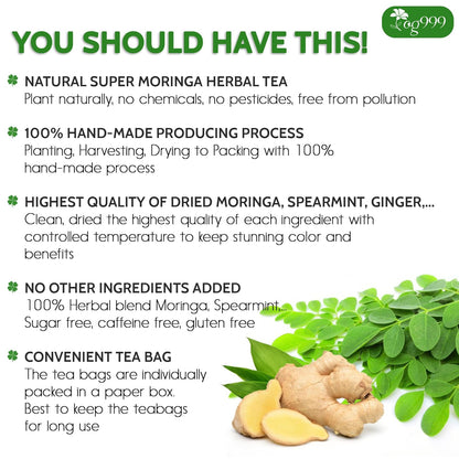 Super Moringa Herbal Tea, Improve Digestion, Support Brain, Weight, Skin and Sleep, Eco-Conscious Tea Bags by FreshDrinkUS - Natural and Premium Herbal Tea