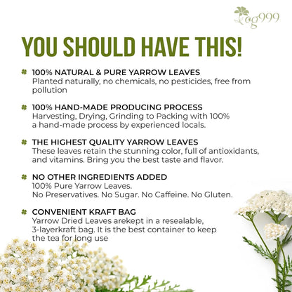 Premium Yarrow Tea Leaves | Naturally Aromatic, Freshly Packed Loose Leaf Yarrow by FreshDrinkUS - Natural and Premium Herbal Tea