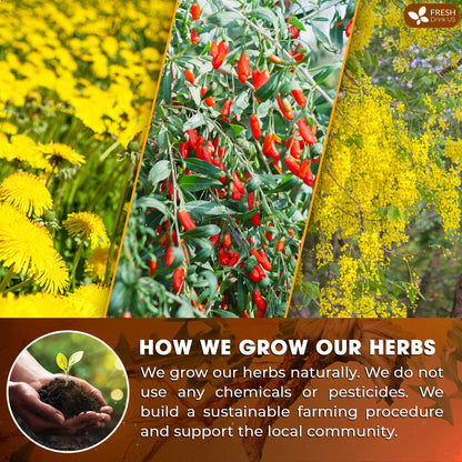 Dandelion Wolfberry Tea, 7 Herbal Ingredients by FreshDrinkUS - Natural and Premium Herbal Tea