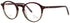 Jaguar Jg31711 Eyeglasses by ModaFrames