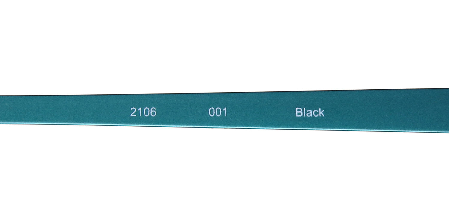 TiFlex 2106 Eyeglasses by ModaFrames