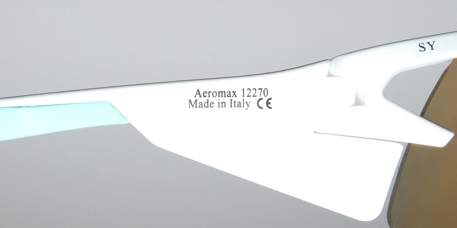 Bolle Aeromax Sunglasses by ModaFrames