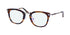 Diff 0559 Gryffindor Harry Potter Blue Light Lens Eyeglasses by ModaFrames
