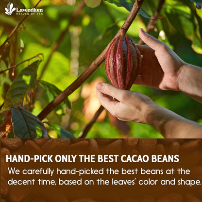 Cacao Powder, 25oz (1.56 lbs), 100% Natural &amp; Pure, Unsweetened, Rich Chocolate Flavor, Perfect for Baking &amp; Smoothies by FreshDrinkUS - Natural and Premium Herbal Tea