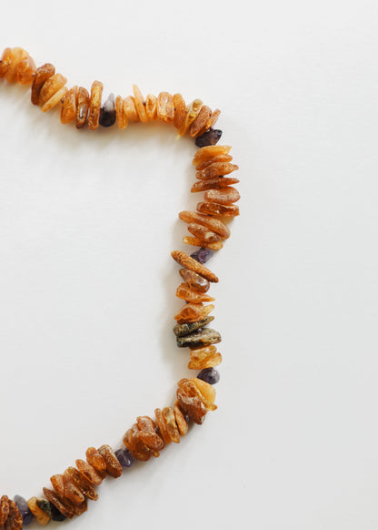 Pet Necklace: Raw Baltic Amber + Raw Amethyst by CanyonLeaf