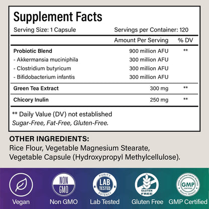 Probiotic Capsules - 900 Million AFU of Akkermansia, Clostridium, Bifidobacterium. Added Prebiotic Chicory and Green Tea Exact. by FreshDrinkUS - Natural and Premium Herbal Tea